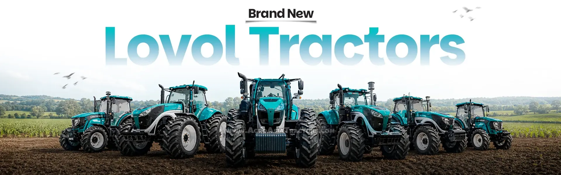 Lovol tractors for sale